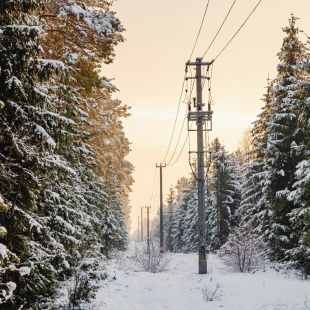 Strømledninger i vinterlandskap