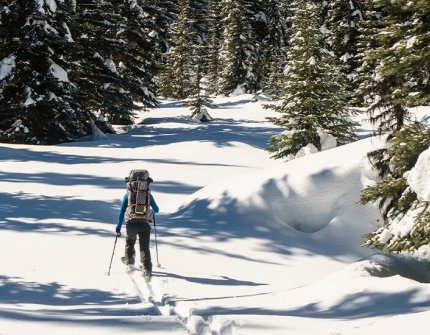En person går på ski i skogen