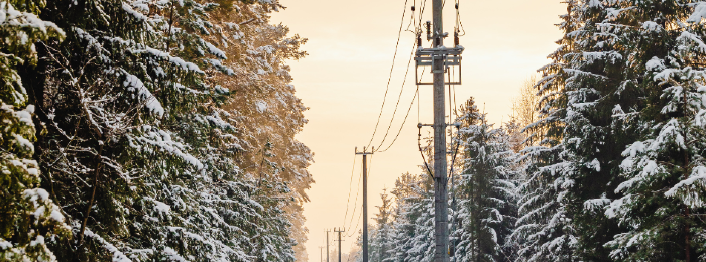 Strømledninger i vinterlandskap